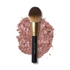 13 Classic Bronzer Brush