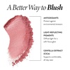 image:imageLAURA GELLER Baked BlushnBrighten Marbleized Blush  Angled Brush Pink Buttercream04 Pink Grapefruit