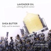 image:imageLAURA GELLER NEW YORK Hydrating Lip Mask  Deep Moisture Lip Treatment for Dry Chapped Lips with Jojoba Oil amp Shea Butter  Includes Applicator  LavenderLavender