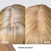 image:imageLAURA GELLER Root TouchUp Hair amp Brows Root Cover Dark Brown01 Warm Blonde