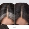 image:imageLAURA GELLER Root TouchUp Hair amp Brows Root Cover Dark Brown05 Black