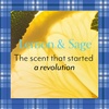 image:imageBliss Pro KP Smoothing Body CreamLemon  Sage Gilmore Girls Exclusive