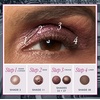 image:imageLAURA GELLER NEW YORK Ultimate Essentials  The Ultimate Palette 31 Baked Eyeshadows Minimalism Maximized  Shadow Skills 4PC Eye Brush Set