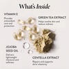 image:imageLAURA GELLER Filter Finish Pressed Radiant Setting Powder  Airbrush Round Kabuki Brush